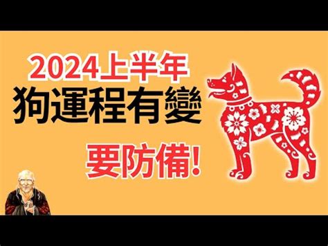 1982屬狗|生肖狗: 性格，愛情，2024運勢，生肖1994，2006，2018